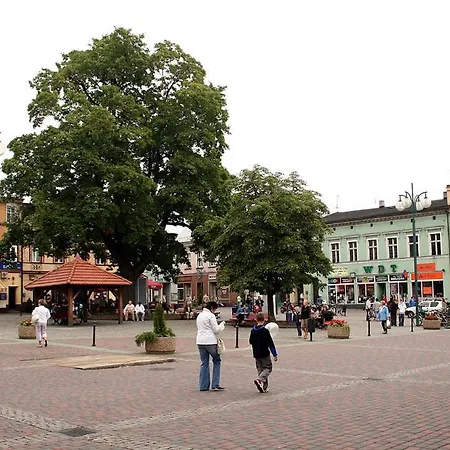 Cityhouse Modern For Business And Family * Lubliniec